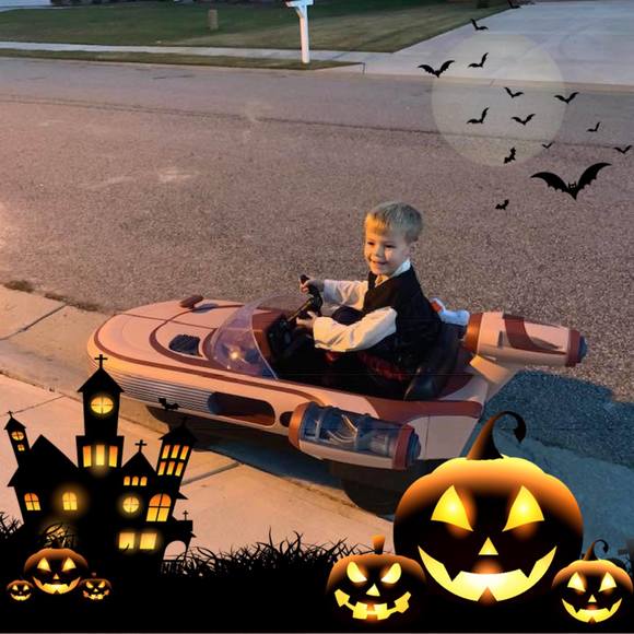 Meet your Posher, Cody - Picture 1 of 1